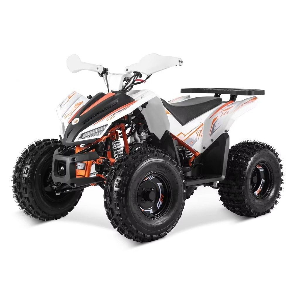 Stlf Tao Motor 2026 New Sport  - Bike Chain 评论和价格